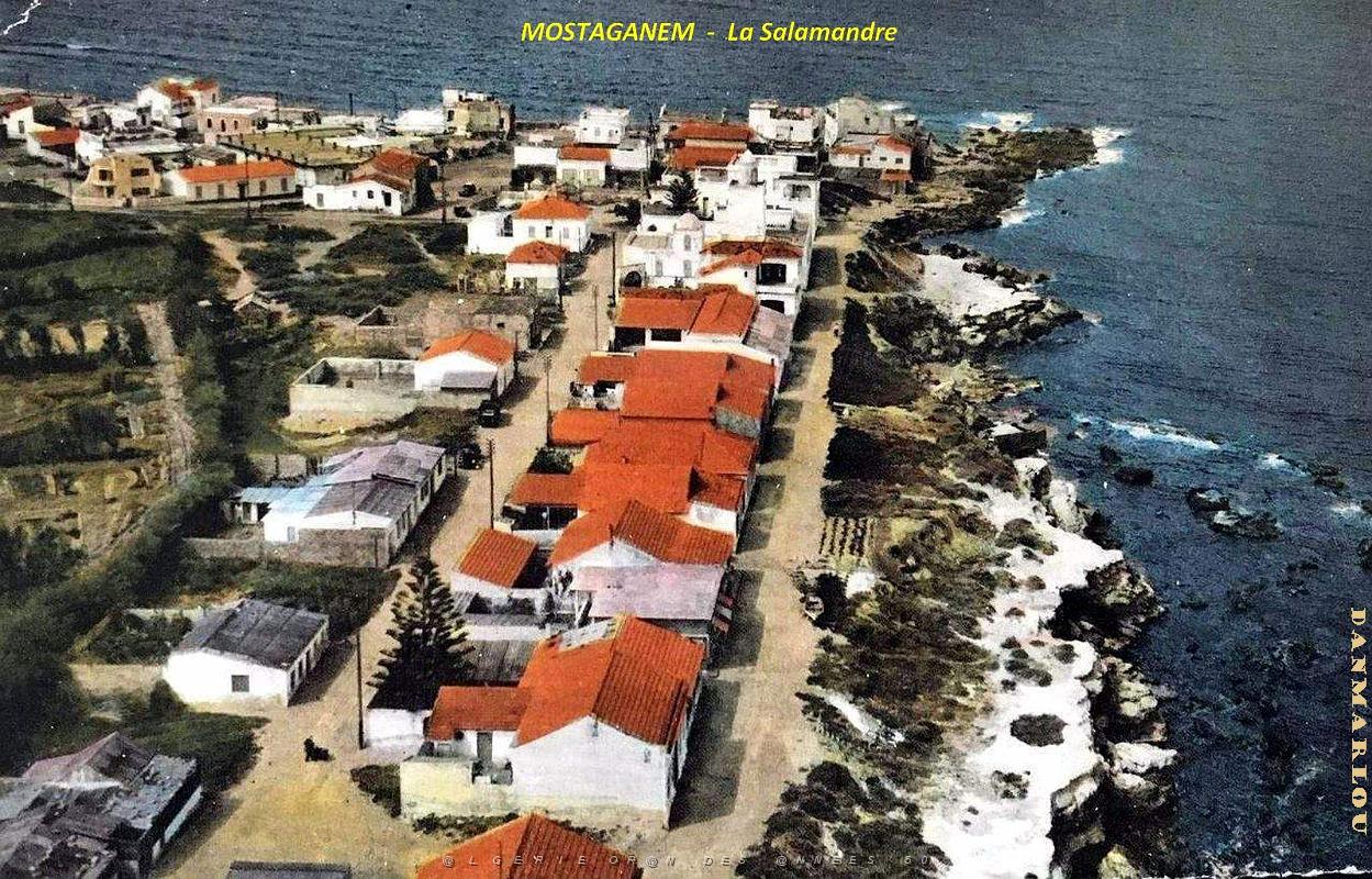 Mostaganem - Salamandre - Vue aerienne.jpg